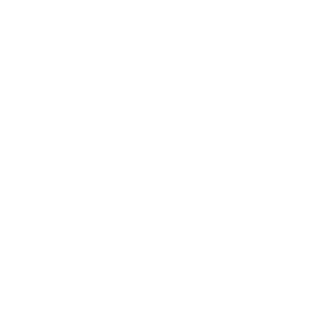 D-SCALE