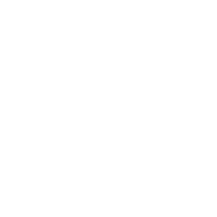 D-SCALE